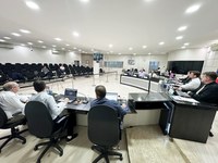 Câmara aprova aumento de recursos para atendimento veterinário a animais de famílias carentes e resgatados em São Lourenço do Oeste