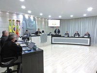 Mauro Michelon apresenta emendas a projetos em tramitação na Câmara de São Lourenço do Oeste