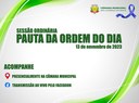 Saiba o que será analisado pelos vereadores na próxima segunda-feira Saiba o que será analisado pelos vereadores na próxima segunda-feira