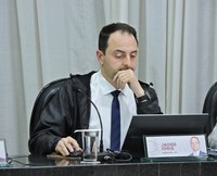 Vereador sugere substituição de postes de eucalipto por postes de concreto em linha de transmissão de energia